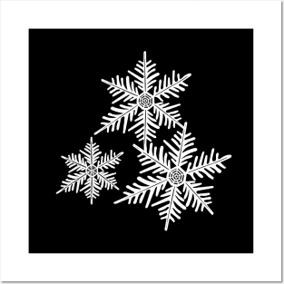 Falling Snowflakes Posters and Art